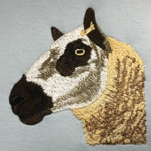 sheep